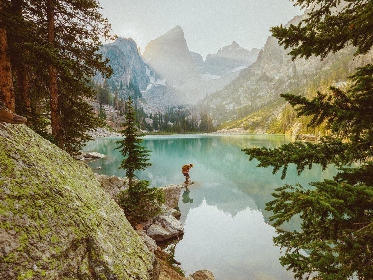 inthemeadow's tweet image. summer days in wyoming