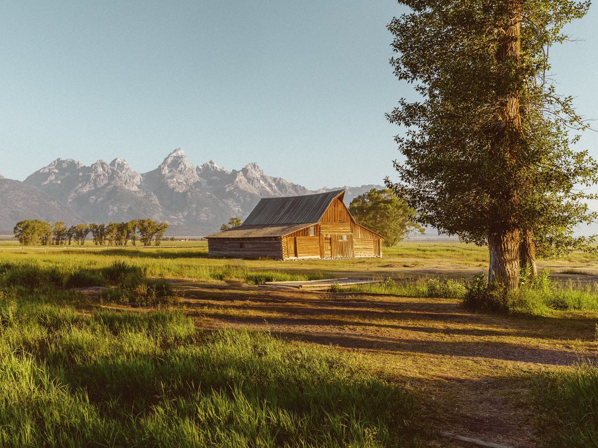 inthemeadow's tweet image. summer days in wyoming