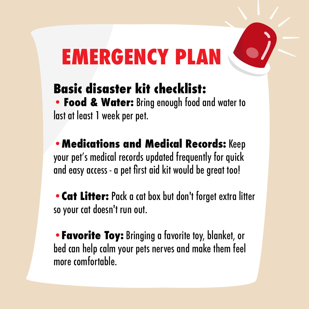 gcvspecialists's tweet photo. It only takes a few minutes to create a plan for you and your pet in case of an emergency or natural disaster 🚨 #NationalPetPreparednessMonth🚨

Check out this Disaster Preparedness article from the ASPCA for a full list of recommended items for your kit: https://t.co/hnQPkskUEi https://t.co/TgJcLBEibl
