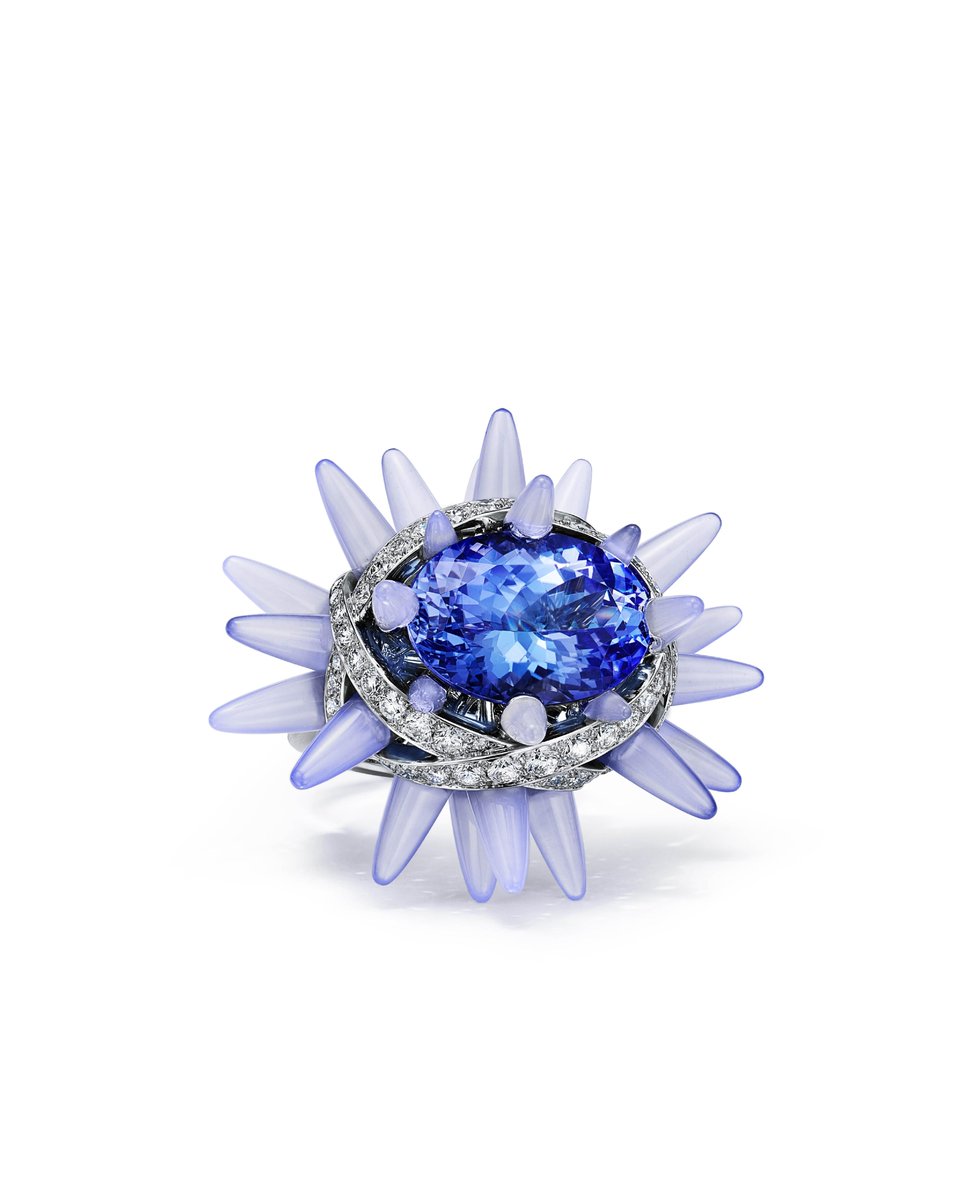 TiffanyAndCo's tweet photo. Part of the first #TiffanyHighJewelry collection designed by Chief Artistic Officer Nathalie Verdeille, these Blue Book 2023: Out of the Blue star urchin designs are a feat of symmetry and form, with tanzanites and hand-carved chalcedony. Discover more: https://t.co/fVv96XvaKJ https://t.co/hNDxC8Ph1Q