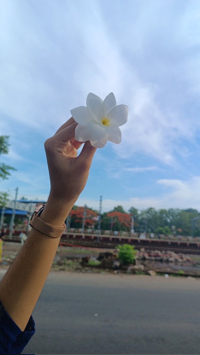 SandraSundar_'s tweet photo. എനിക്ക് സ്നേഹം വേണം, അത് പ്രകടമായിത്തന്നെ കിട്ടണം. ഉള്ളിൽ സ്നേഹമുണ്ട് 
പ്രകടിപ്പിക്കാനറിയില്ല എന്നതിൽ ഞാൻ വിശ്വസിക്കുന്നില്ല.ശവകുടീരത്തിൽ വന്ന്
പൂവിട്ടാൽ ഞാനറിയുമോ...? " 
          ~മാധവിക്കുട്ടി 
#madhavikutty https://t.co/wRzhhDckkw