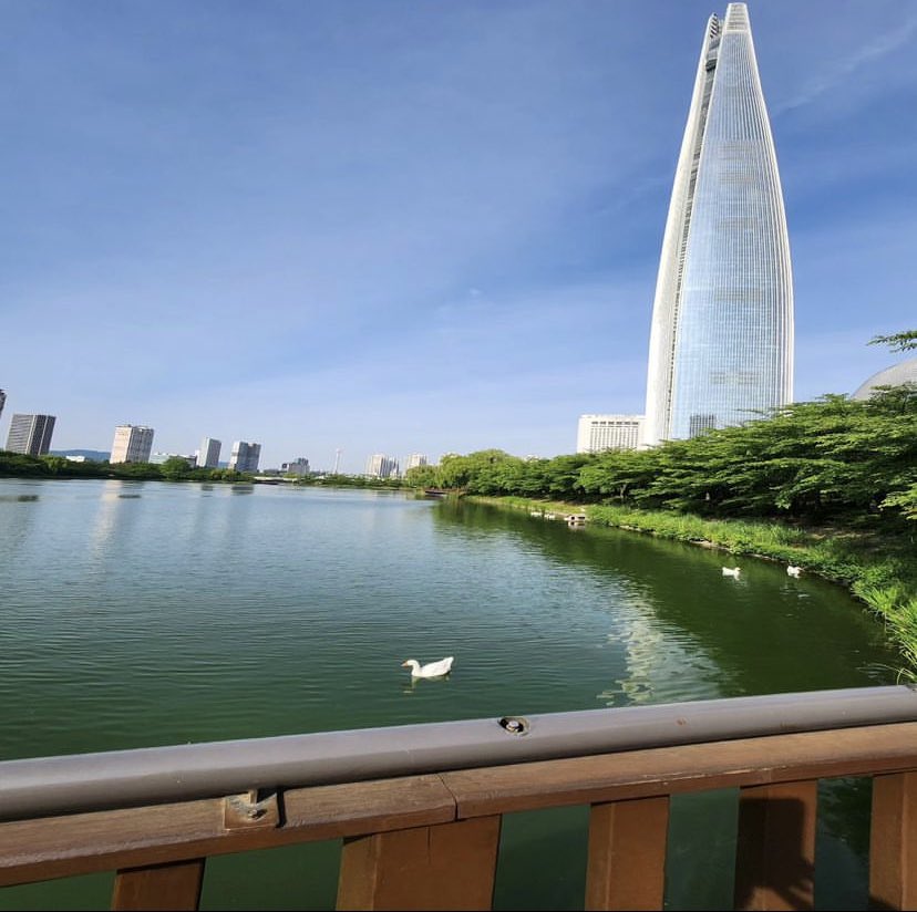 Sooho1979577's tweet image. 당신의 얼굴을 항상 햇빛 쪽으로 향하게 하십시오. 그러면 그림자가 당신 뒤에 떨어질 것입니다.