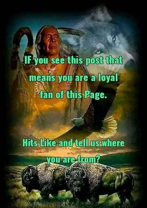 Native American Culture tweet media