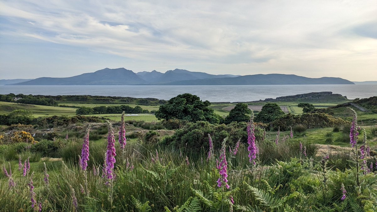 #Arran in all its glory as seen from the @WestIslandWay on #Bute.