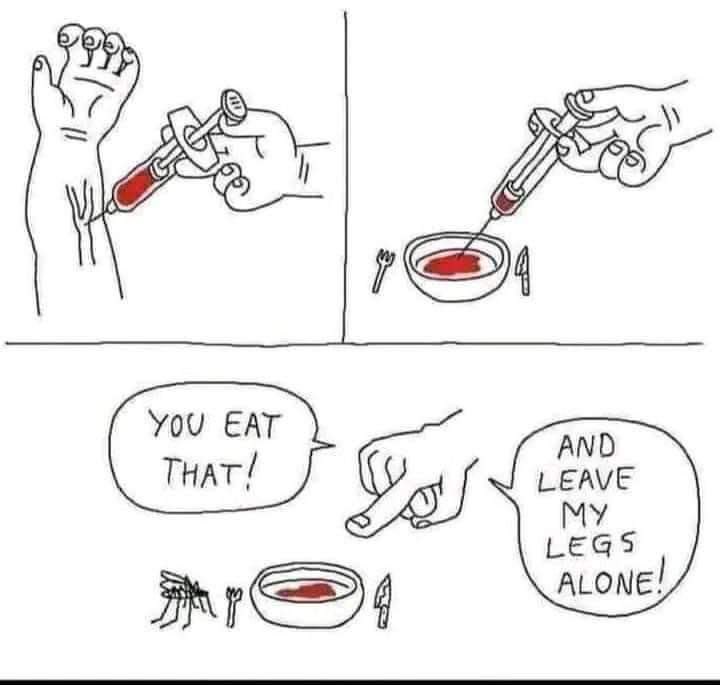 #summer #bugs #ihatemosquitoes #funny #humour
