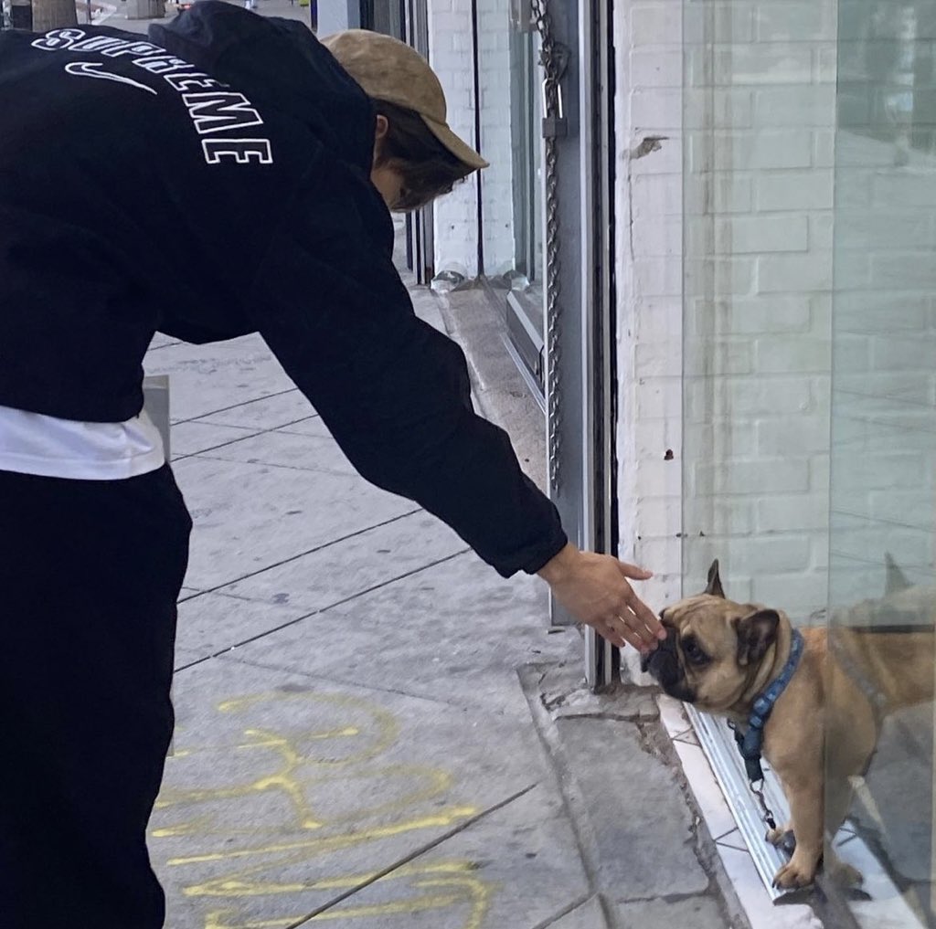 아나진짜이사진ㄴ을진짜너무좋아해서정신병자임이사진만보면눈이돌아서저요저여야만해요를하루종일외침