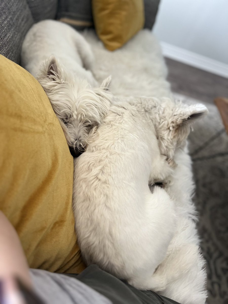 Turning out to be a cuddle day.