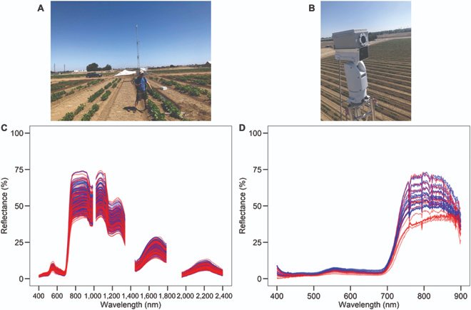 Plant Phenomics tweet media