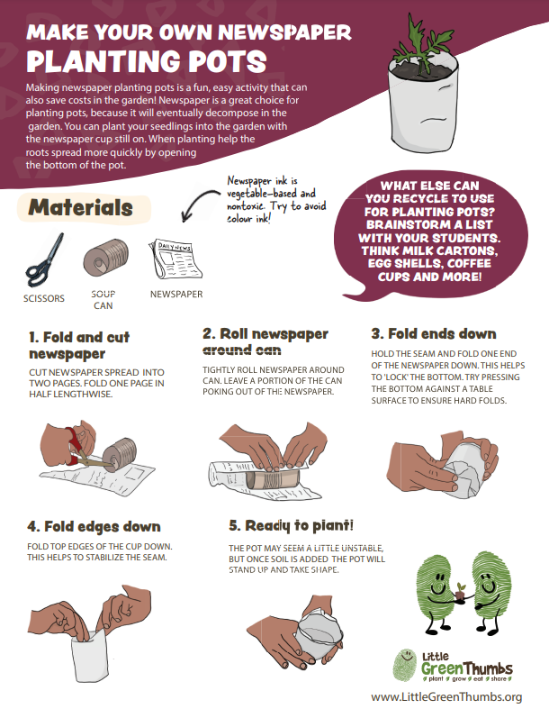 Little Green Thumbs tweet media