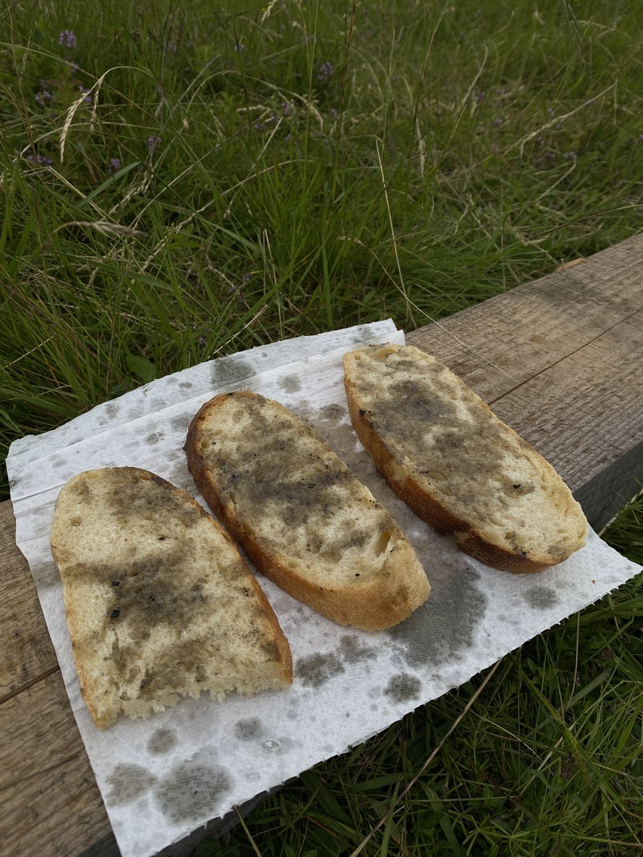 Мій кураж.