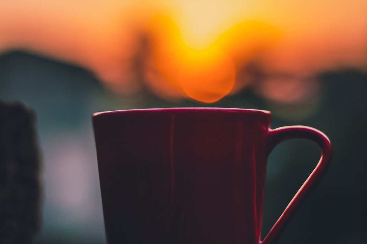 SoothingScape's tweet photo. Good morning Twitter world! 

May your coffee be strong, your motivation be high, and your day be filled with achievements and happiness. 

Have a blessed Sunday! ☕️✨

#GoodMorning #CoffeeTime #SundayMorning #SundayVibes https://t.co/bkV1xuw2Qu
