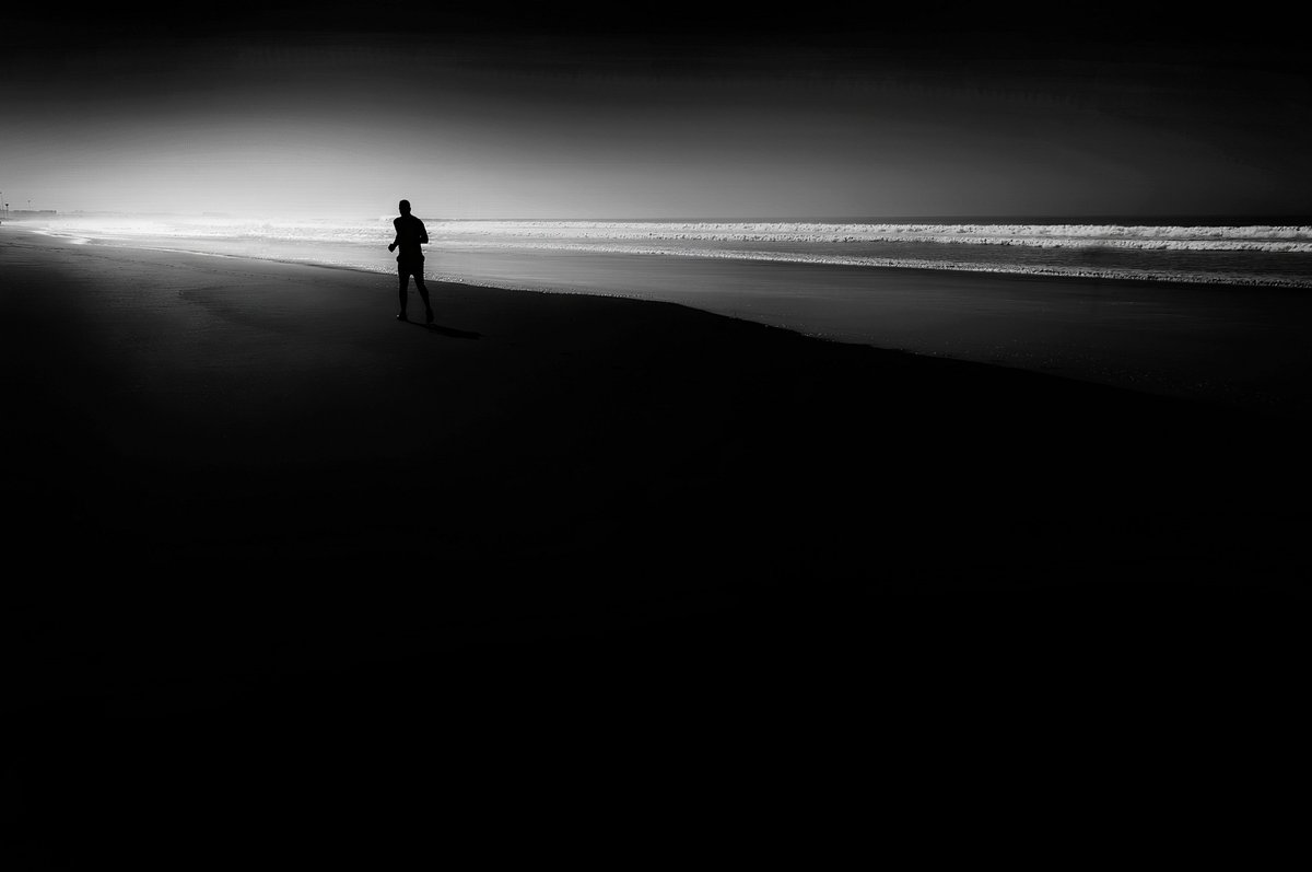 Roswitha Schleicher-Schwarz - Lonely walker at the beach
