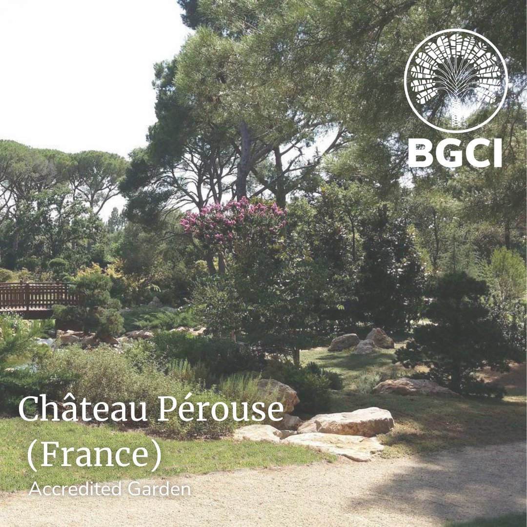 Château Pérouse is one of our incredible Accredited Gardens that have established their credentials by being assessed on a number of criteria. 
ow.ly/ZcPc50OJTRs 
#ConservationAction #BotanticGardensForConservation #GlobalConservationNetwork #BotanicGardenOpportunities