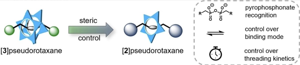 floodgroup_iub's tweet photo. Designer anions in the flavor of organo-pyro-phosphonate dianions threaded with #cyanostar (#rotaxane) -- read about the collaborative work with @mvdelius lab, @_J_u_l_i_a_n_V_, @YushengChen11 and @FadlerRachel (https://t.co/TUsH3AGmFf) https://t.co/zEquI9mpXr