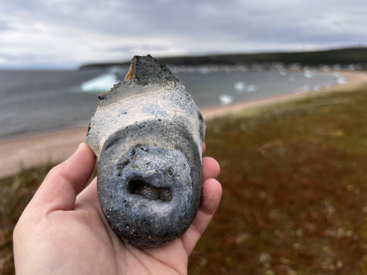 Someone in Twitter land should be able to tell me what kind of rock this is?