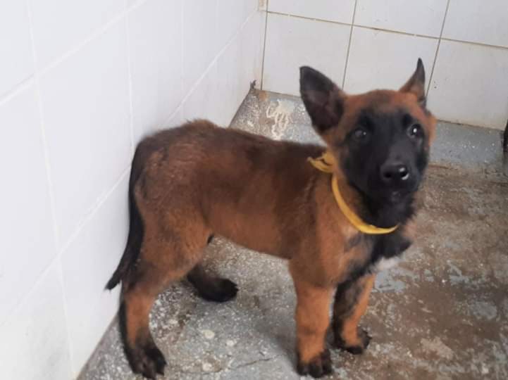 leninperon's tweet photo. Madre selva.
Te ofrecemos a Polo Polo, Vicky Davila y Maria Fernanda Cabal, para que a cambio nos devuelvas a Wilson.😭😭😭😭😭 https://t.co/yGZUdbwP1B