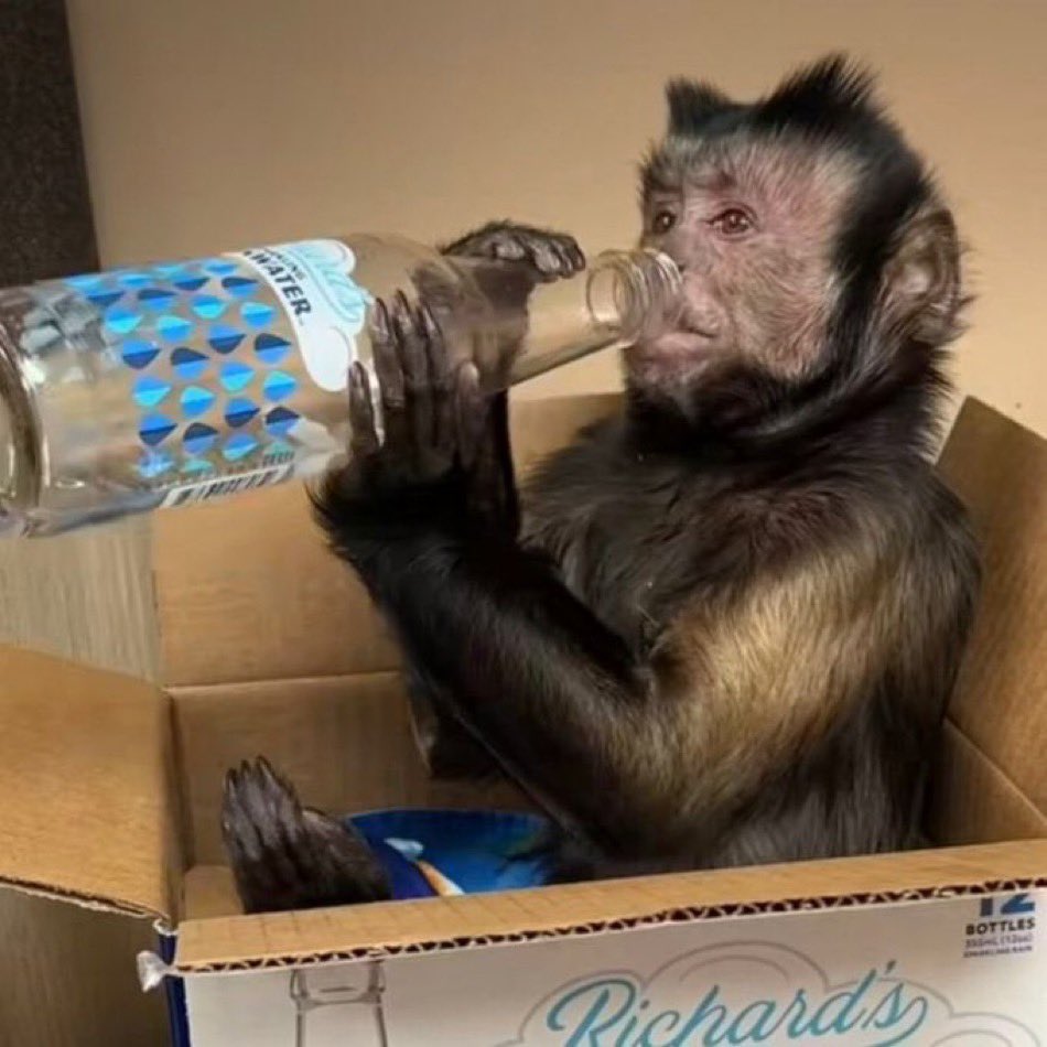 ࣪lorena (@iamcaaris) on Twitter photo 