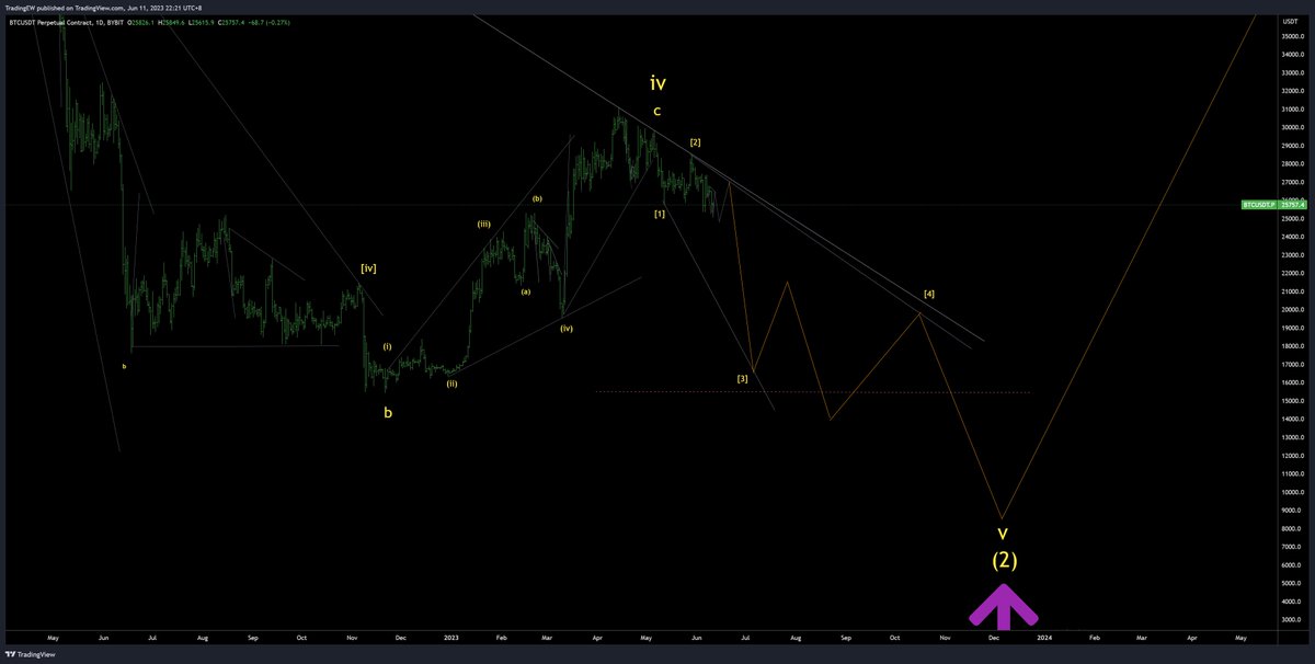 BTCUSDT Daily
Reversing on the final 5th wave v down towards a lower low 8000s? before the long-term advance
