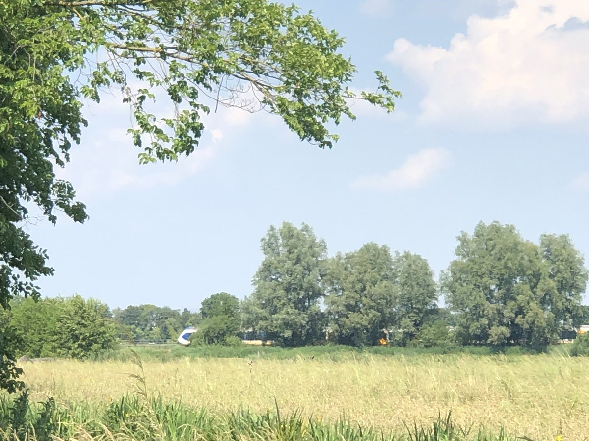 Ha ha <a href="/NS_online/">NS online</a>, goed geprobeerd, maar ik heb jullie gevonden! 👀
Nu is het jullie beurt… 

#verstoppertje #treininhetwild