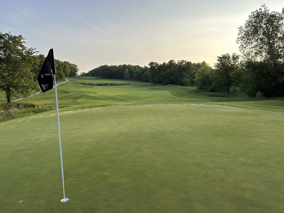 Taylor Olson tweet media