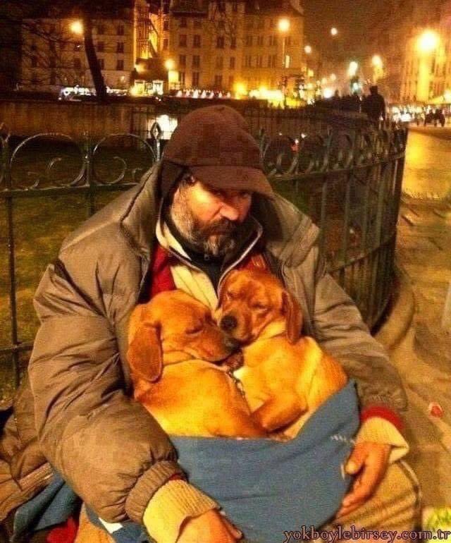A lovely photo of homeless man keeping 2 puppies warm on a cold night. I'm sure they are helping him too..
#dogs #DogsofTwittter #Doglovers_26 #dogsarelove #puppies