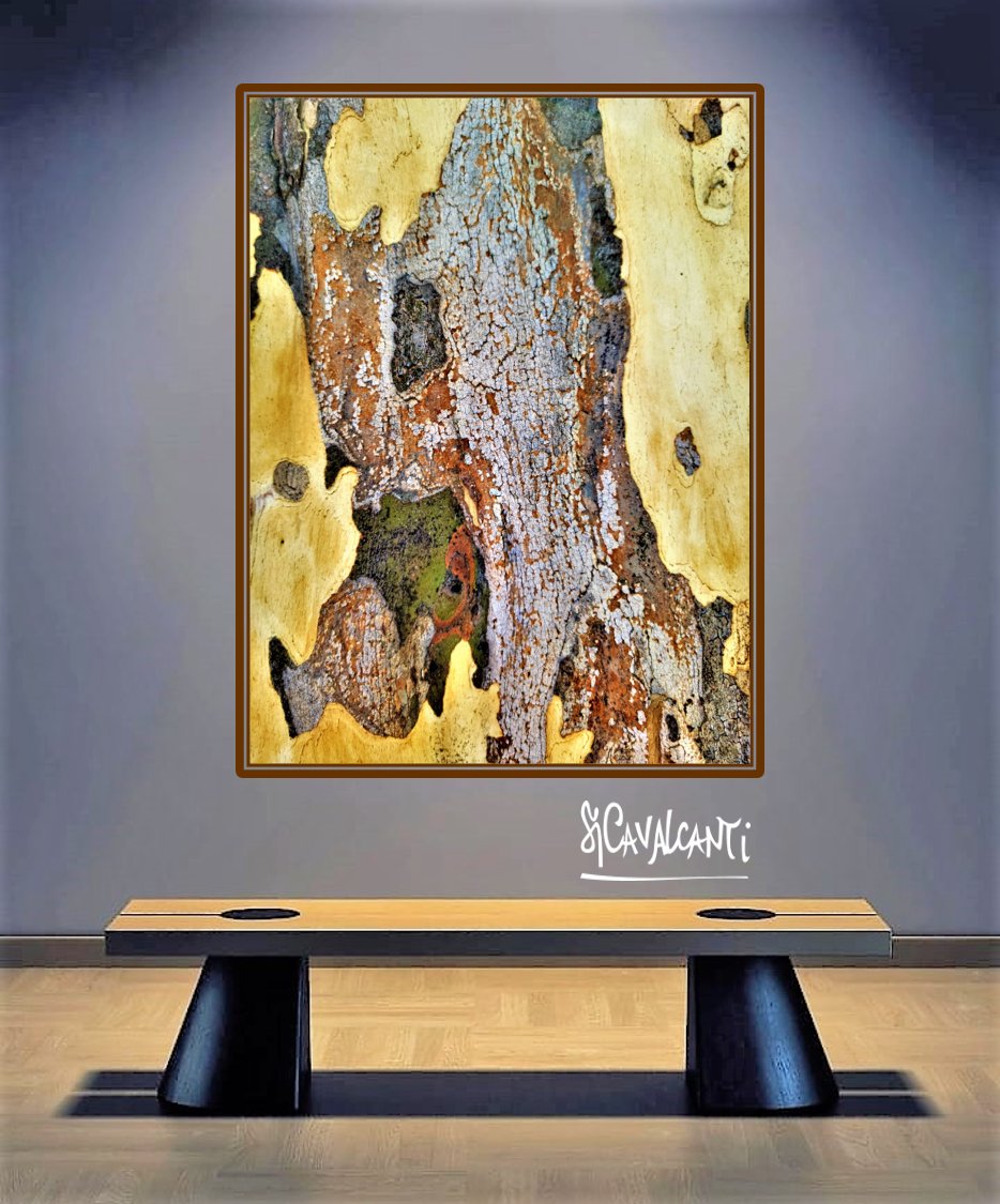 sicavalcanti70's tweet photo. Exploring the magic of nature: tree trunks that transform into enchanting works of art.#TezosNFTs #CardanoCommunity #tezoscollectors #web3 #NFTCommunity #web3community #web3.#MintableNFTs #MintableCommunity #FineartCommunity.#Abstractartwork. #AbstractArtistic https://t.co/964uJXElAj