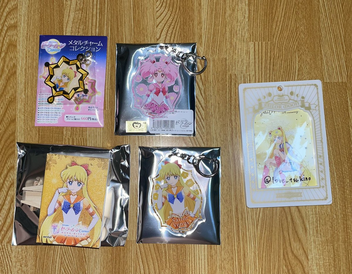 フローラル セーラームーン ハナビヨリ 限定品 キャンパスアートミニ