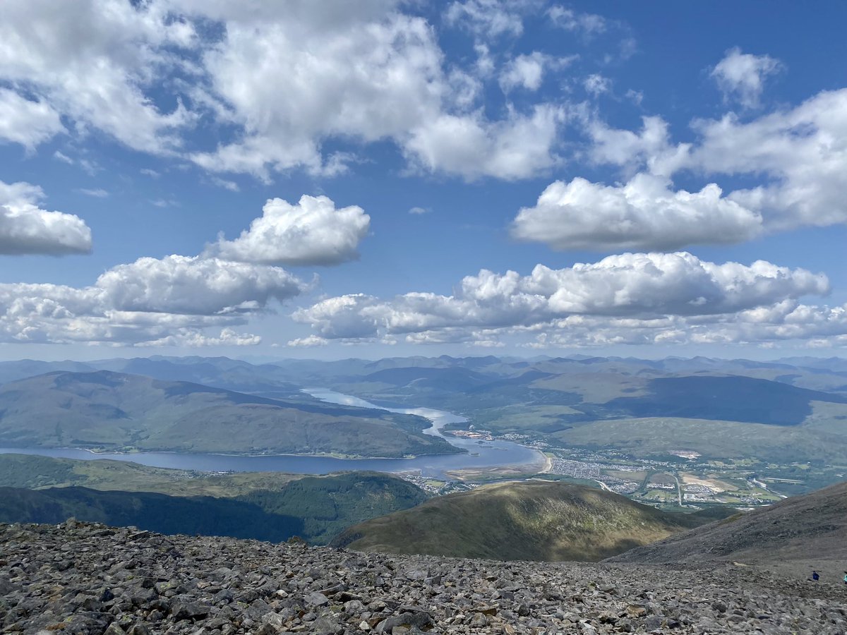 britt miller tweet media