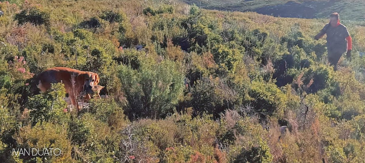 Ivan Duato (@duatoivan_) on Twitter photo 