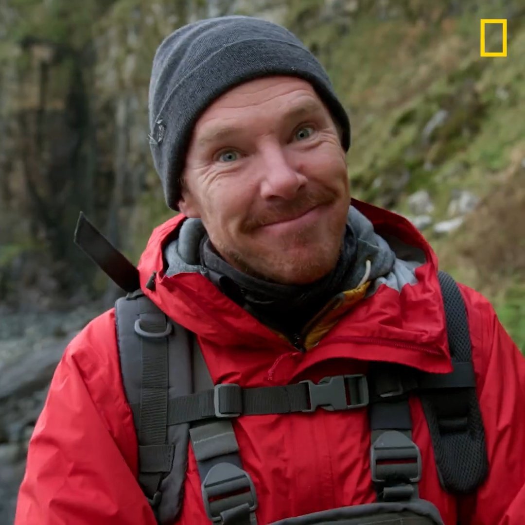 best of benedict tweet media