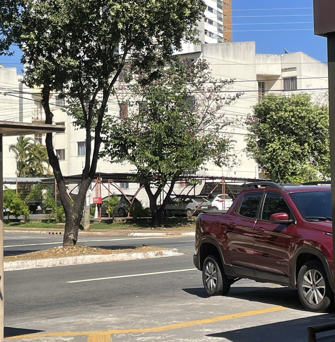 xiimba's tweet photo. Se tem uma coisa que me indigna é a falta de noção de alguns motoristas: https://t.co/e7e76ynJWp