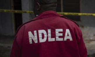 SaharaReporters's tweet photo. Anti-Narcotics Agency, NDLEA Busts Secret Laboratory Producing Illicit Substance, Hard Drugs In Lagos | Sahara Reporters https://t.co/FDnT62wG8F https://t.co/yU5sztHNkL