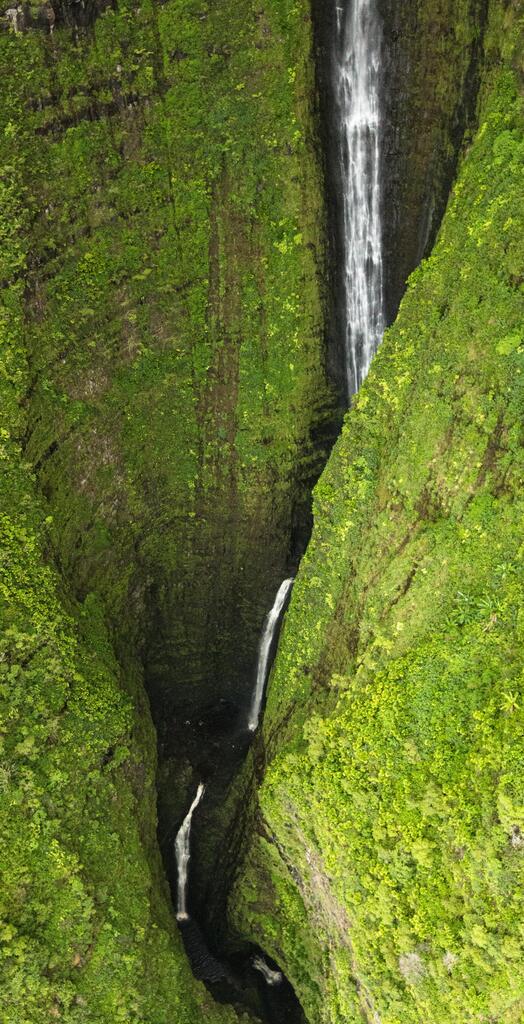 Enjoy the #EαrthPørn!

Papalaua Falls, Molokai, HI [OC] [2731x5333] 
Photo Credit: Chipotle42 
.