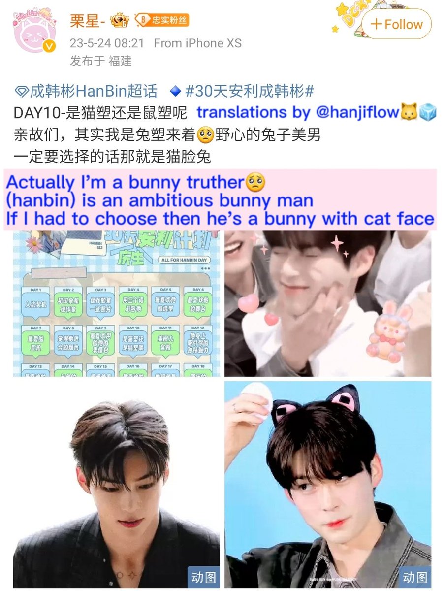 hanjiflow's tweet image. The heated debate between hamster vs cat with c-allins🐹🐱

(The last one was written in a LONG paragraph HELP why are allindans so serious on this)

🧊What about int allindans,are you team hamster or team cat?

#13SpecialDaysforHanbin #WeAreNeverAlone #SUNGHANBIN #성한빈 #成韩彬