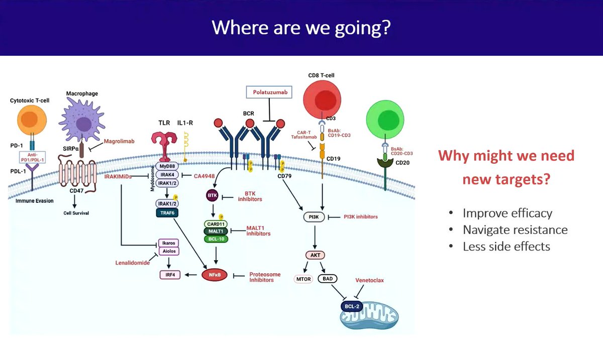 lymphomahub's tweet image. #EHA2023 | @Jessica_Okosun @QMBCI talks about biology, natural history &amp;amp; current targets in indolent #lymphoma. She emphasizes on limitations with existing targets &amp;amp; need for new targets with improved precision using predictive biomarkers &amp;amp;biology-enriched clinical trials #lymsm