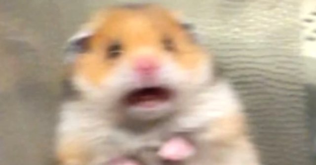 jubass's tweet photo. IM SCARED HELP https://t.co/FW4GzwXoWp