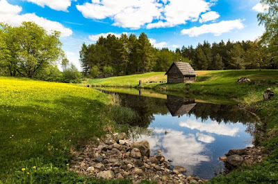5 ancient Estonian remedies to cleanse the body and soul ➛ bit.ly/43wMSXz #Estonia #Tallinn