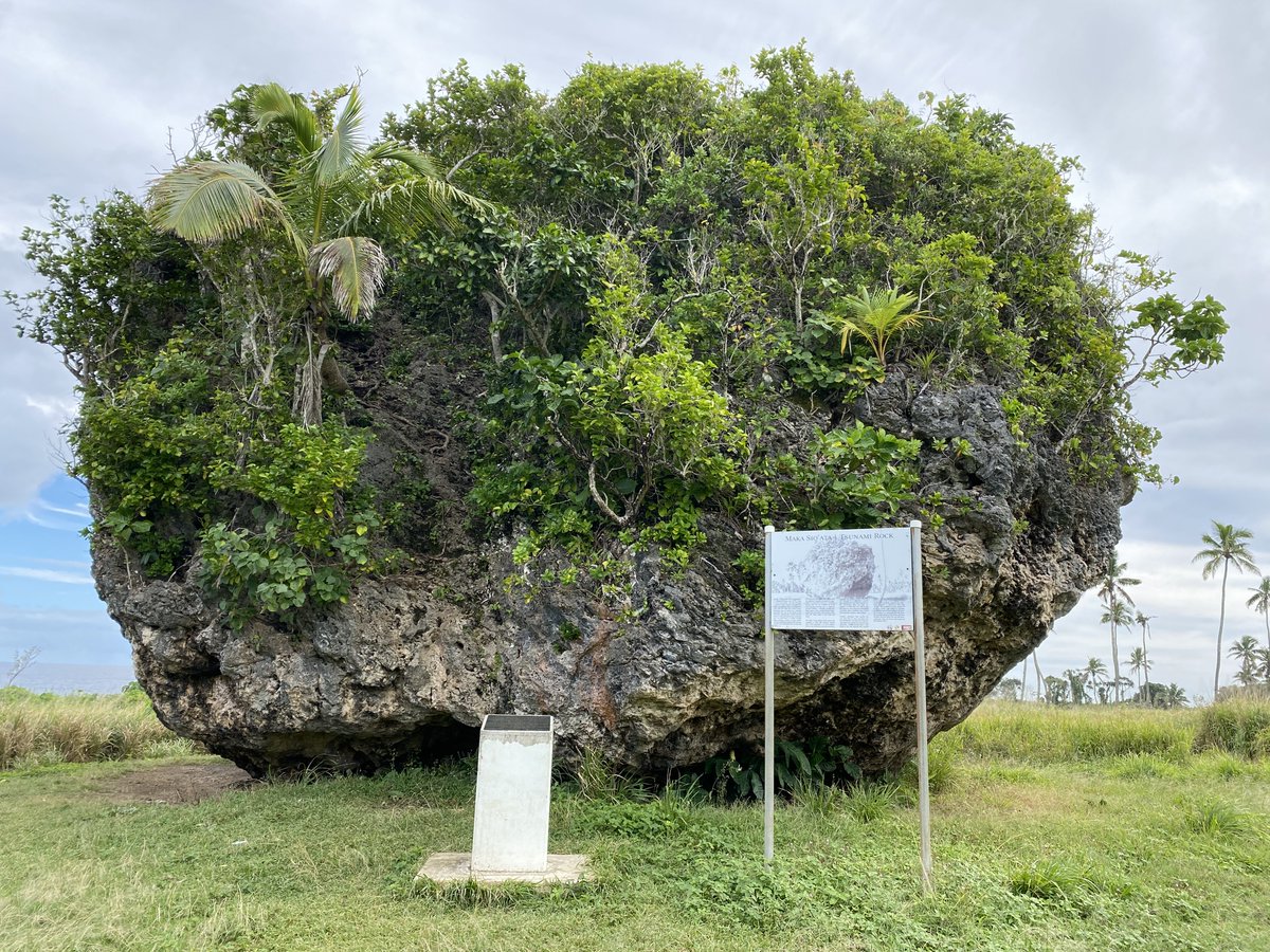 .<a href="/jordipalet/">Jordi Palet Martínez</a> Deploying #IPv6 for TCC in Tonga, so we can even traceroute6 to the Tsunami Rock