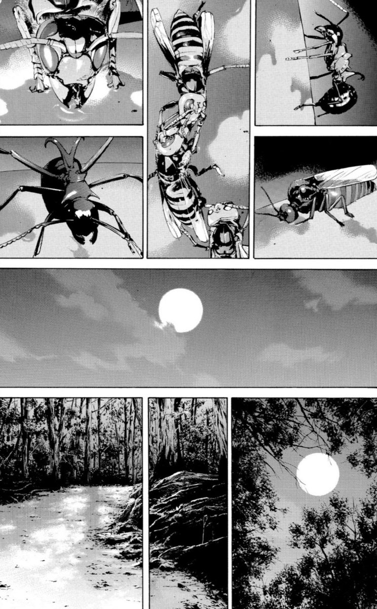 SbastienLebret8's tweet photo. #shoheimanabe #ushujima #mangaka https://t.co/FXPDVy3czs
