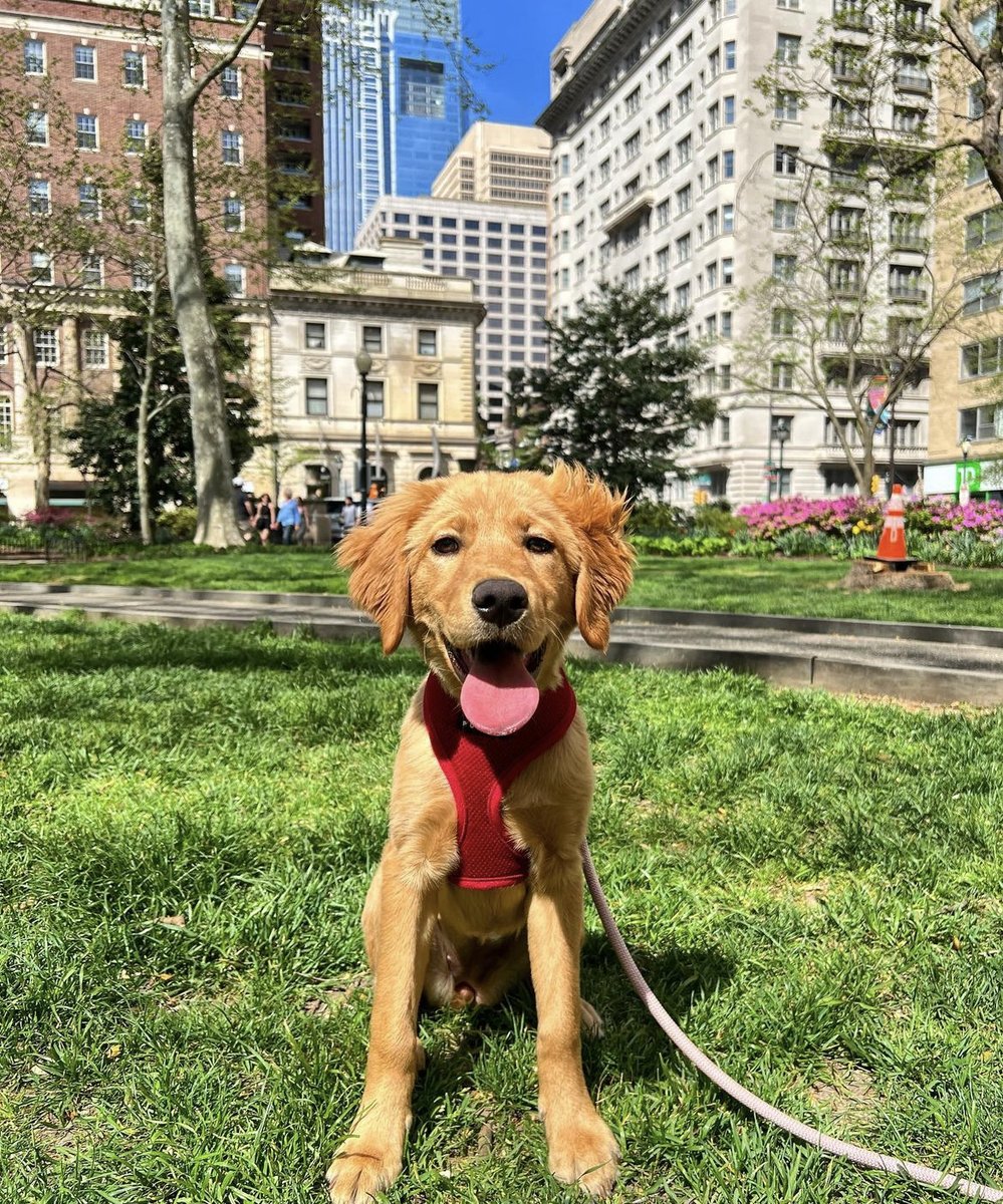 Keep calm and bark on. 🐶
#VisitPhilly #ExplorePhilly 

📸: phillyfeeling and philawalks on IG