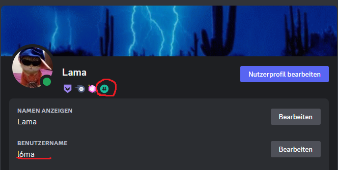 Lama 🦙 tweet media