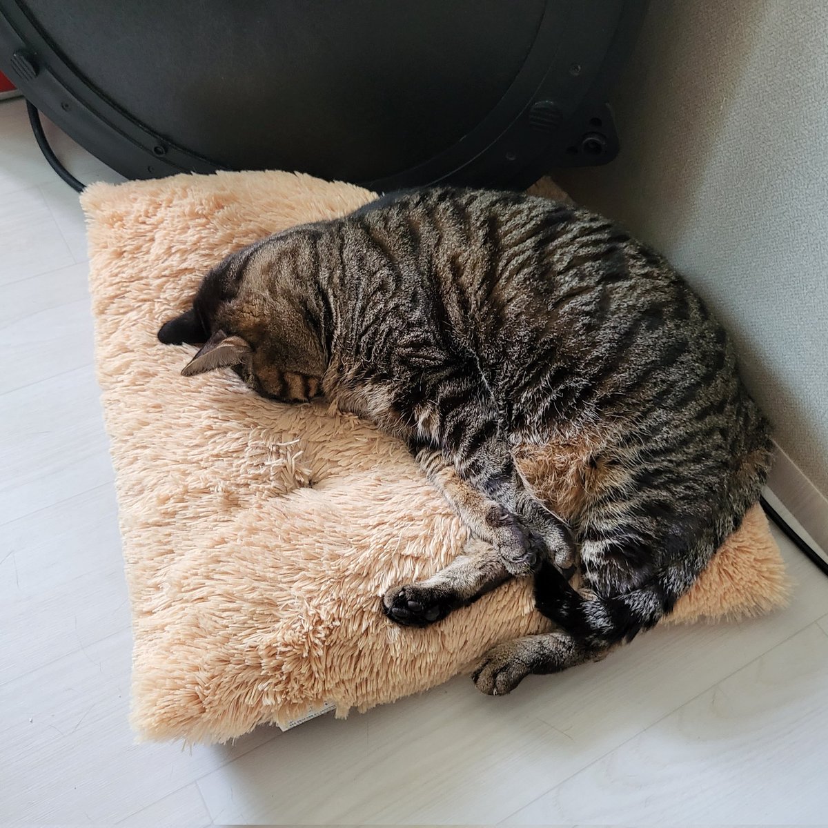 오늘도 이러고 잠