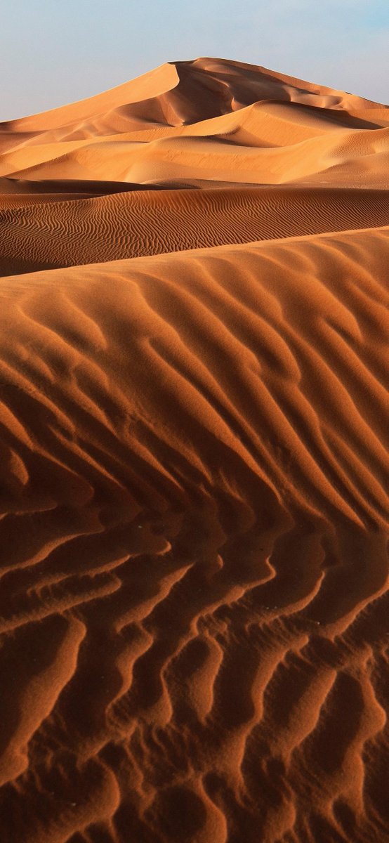 Every kind of trauma is a kind of maturity.  <a href="/Jim77846987/">simonfarrow.eth</a>  <a href="/BobLaw90287160/">scantopay.eth</a>  <a href="/JamesPh20985524/">myburgerlab.eth</a>