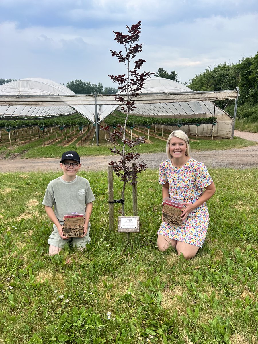 LEAFEd_WM tweet media