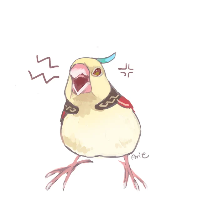 カーヴェは激おこ文鳥な。