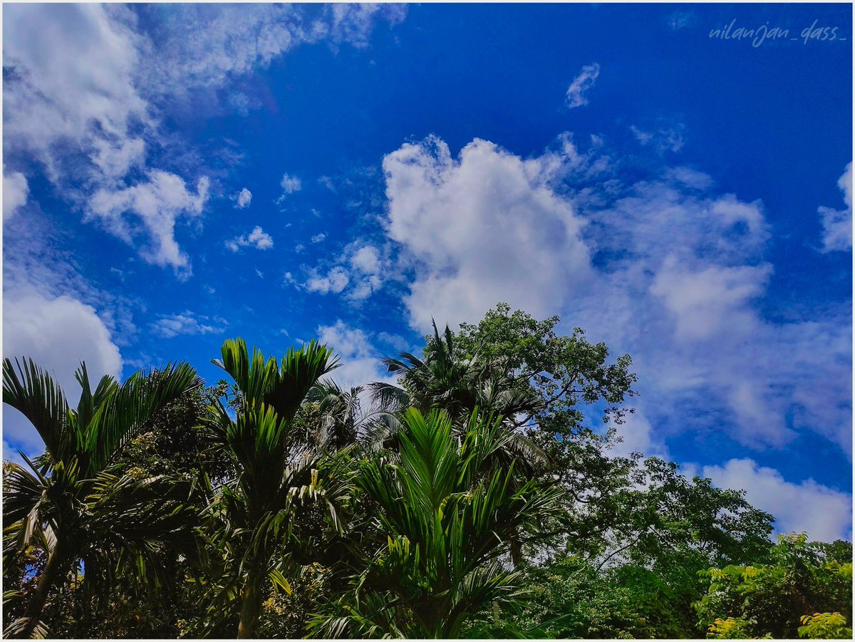 @Nilanjan_dass_ 
.
.
#skylovers #skyphotography #skywatcher #skyscape #skyblue #moringskys #sky #nature