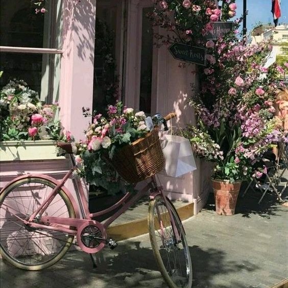 on Twitter "Heard flowers can bring you a sense of peace, why not try?"