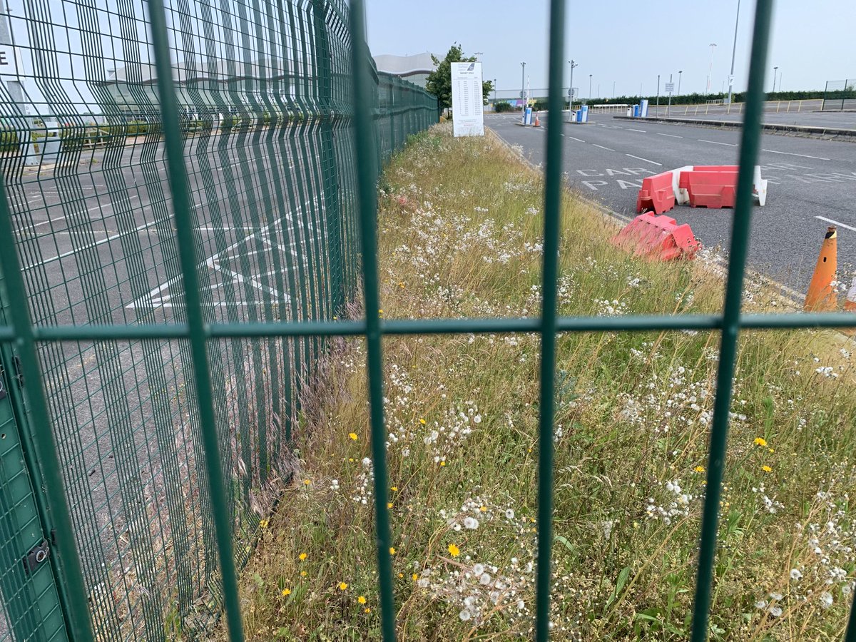 Ricardos54's tweet photo. #saveDSA ⁦@CharlotteV⁩ ⁦@Mark_J_Harper⁩ This is Doncaster/Sheffield Airport today , closed and lying dormant all due to the stubbornness of the man in the photo, Peel chairman John Whittaker, it’s a huge loss to aviation when there are people interested in buying it https://t.co/dVNuG2ef2N