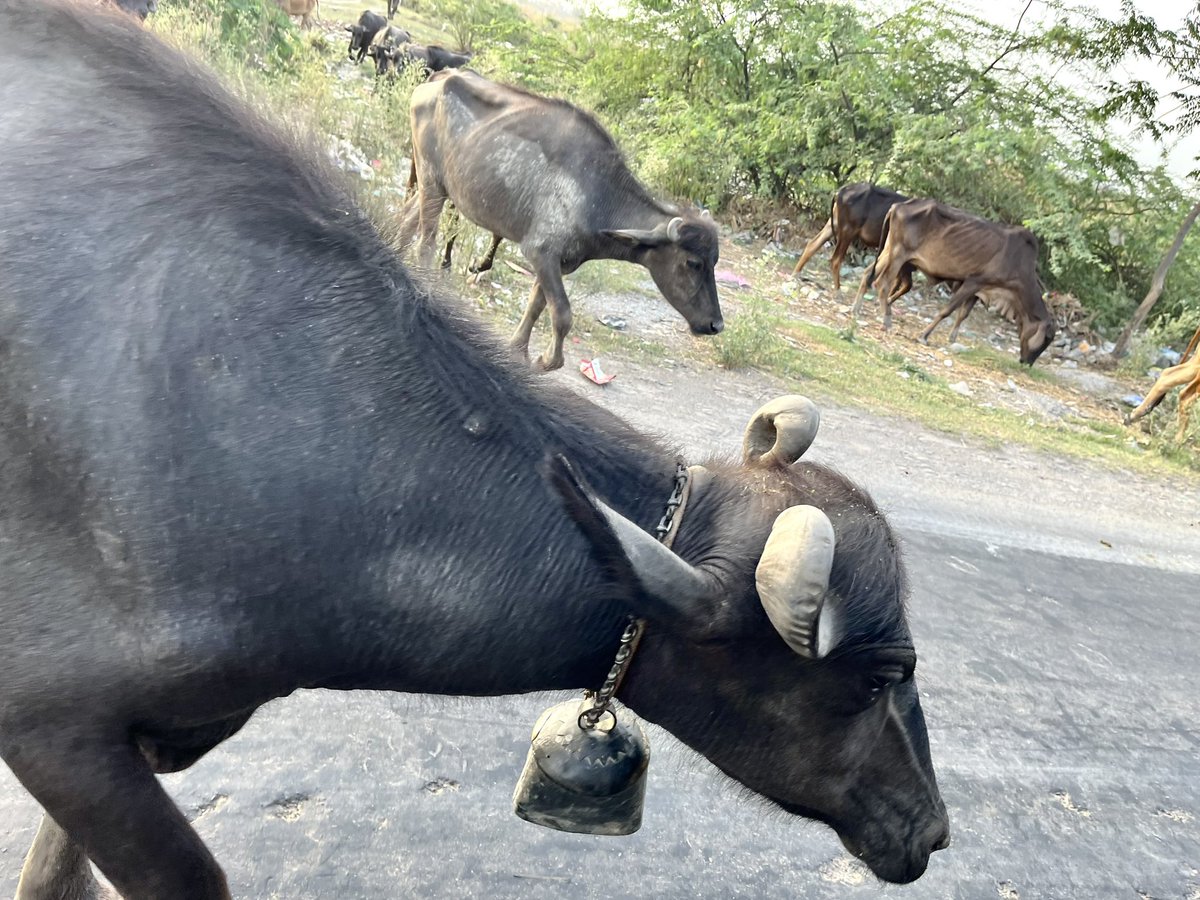 aloktveet's tweet image. राह-ए-नज़र….

GPS का मूल !! 

@umashankarsingh @hvgoenka @anandmahindra #GPS #globalpositioningsystem #location @GoogleIndia