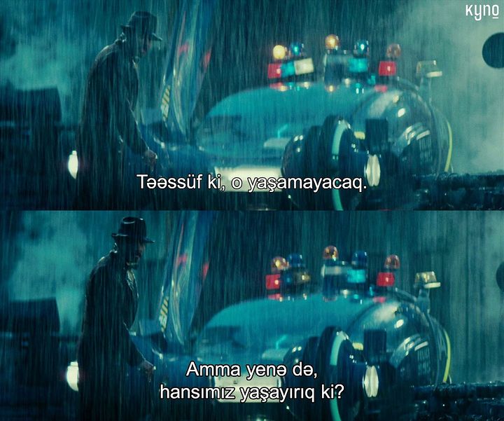 kyno_az's tweet photo. "Blade Runner" - Ridli Skott, 1982.
#kynositat https://t.co/Z1k66AtAGV